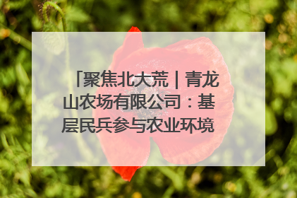 聚焦北大荒｜青龙山农场有限公司：基层民兵参与农业环境综合治理显效